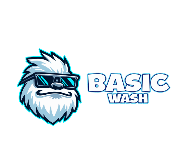 Basic Wash